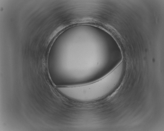 X0000073501457200607310840