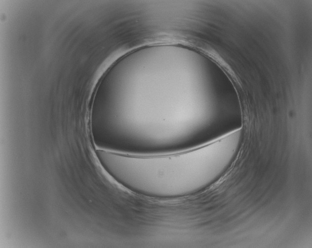 X0000073501484200607310840