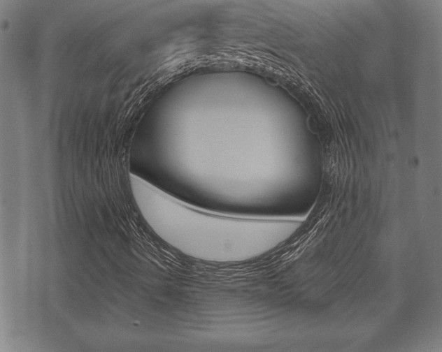 X0000073501490200607310839