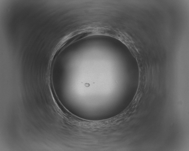 X0000073500003200607311304