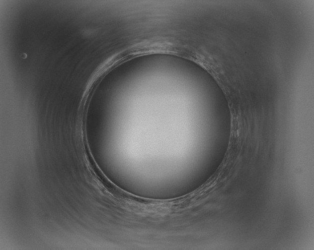 X0000073500004200607311304