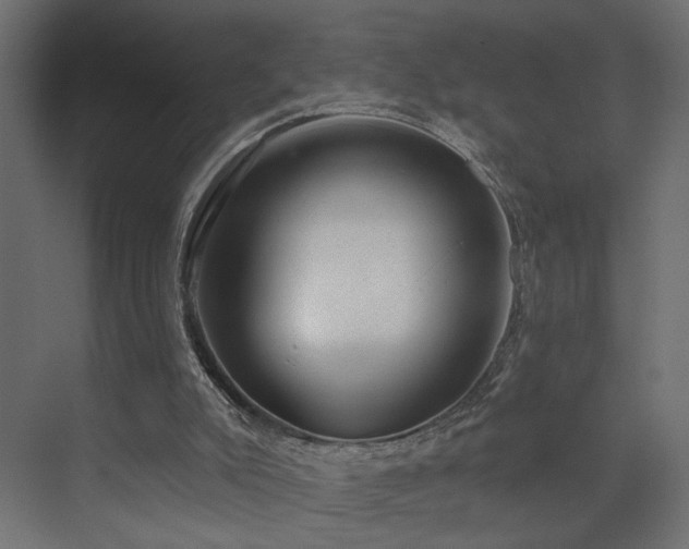 X0000073500007200607311304