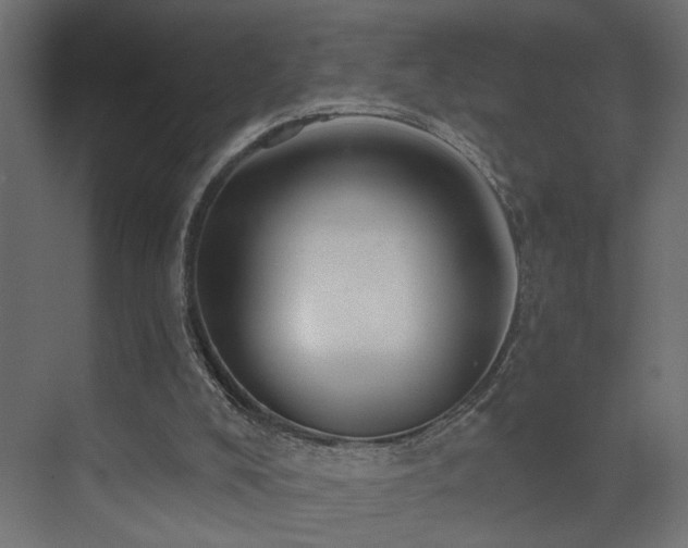 X0000073500008200607311304