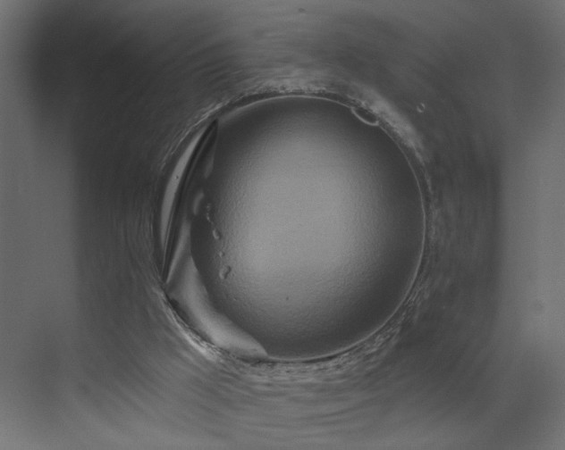 X0000073500009200607311304