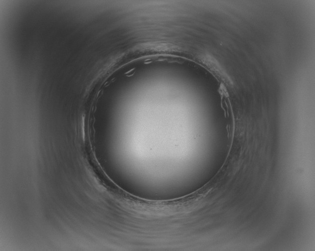 X0000073500014200607311304