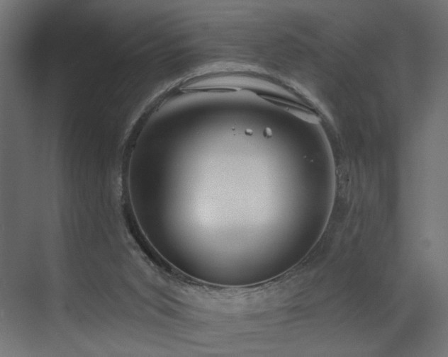 X0000073500015200607311304
