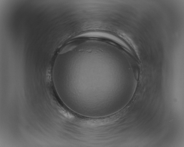 X0000073500017200607311304