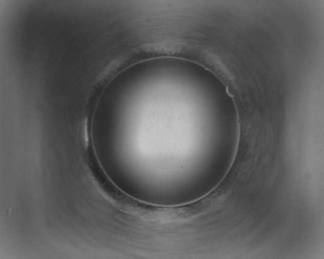 X0000073500020200607311304
