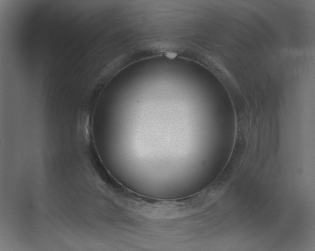 X0000073500024200607311304
