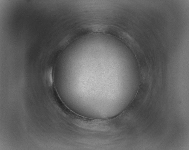 X0000073500028200607311304