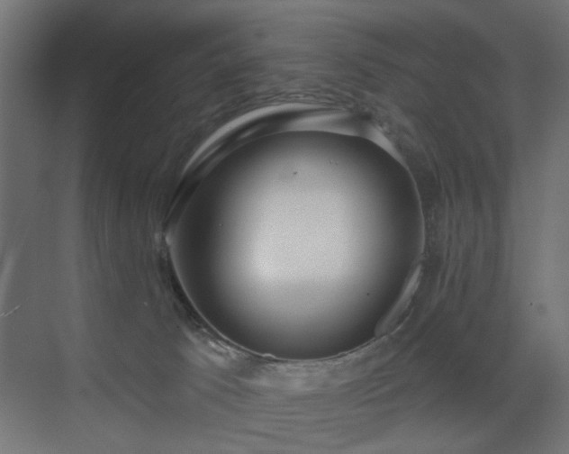 X0000073500033200607311304