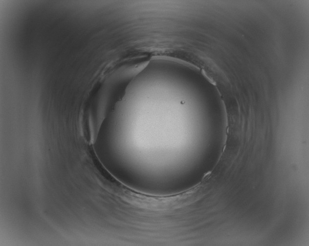 X0000073500035200607311304