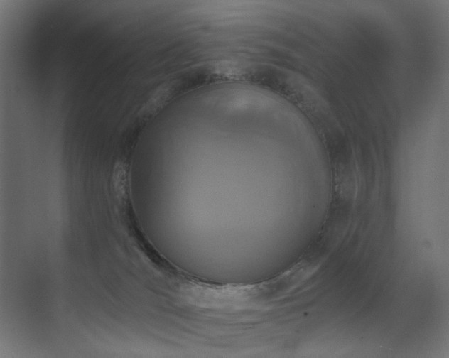 X0000073500036200607311304