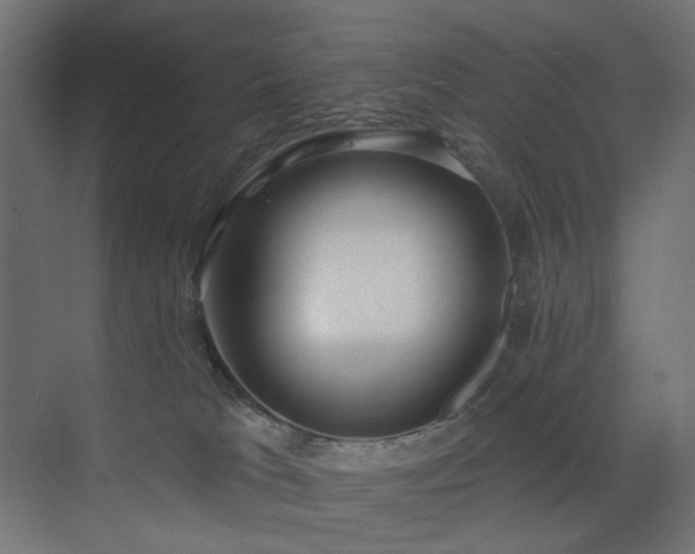 X0000073500037200607311304