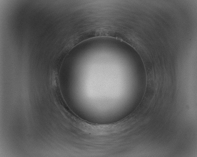X0000073500038200607311304