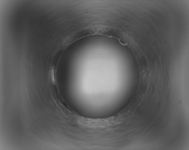 X0000073500042200607311304