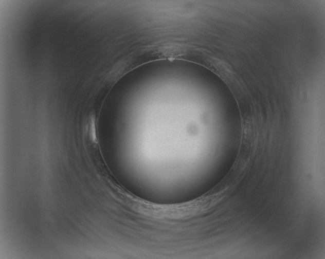 X0000073500046200607311304