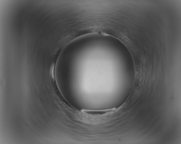 X0000073500047200607311304