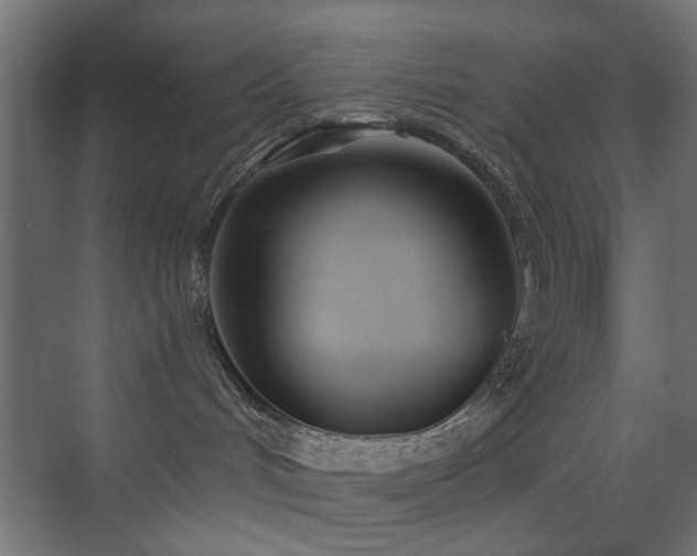 X0000073500048200607311304