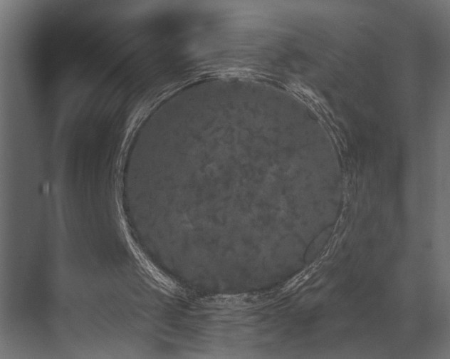 X0000073500049200607311303