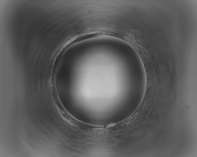 X0000073500050200607311303