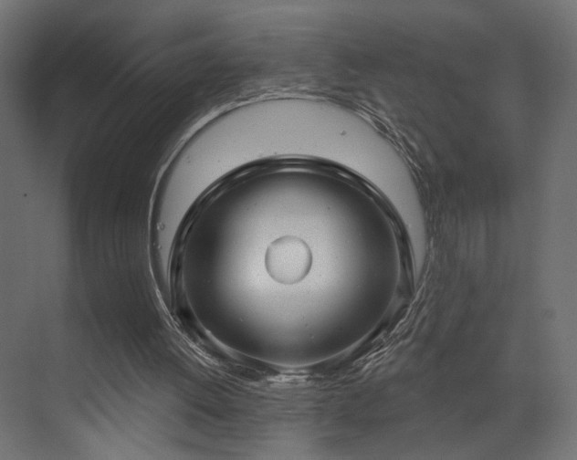 X0000073500052200607311303