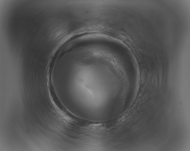 X0000073500054200607311303