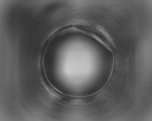 X0000073500058200607311303