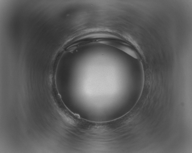 X0000073500063200607311303