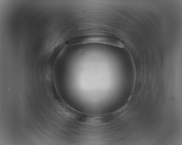 X0000073500078200607311303