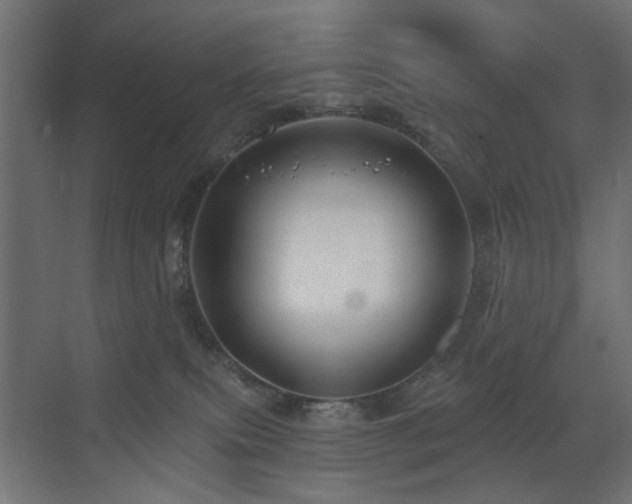 X0000073500087200607311304