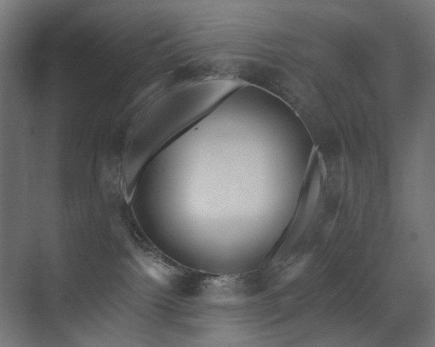 X0000073500092200607311304