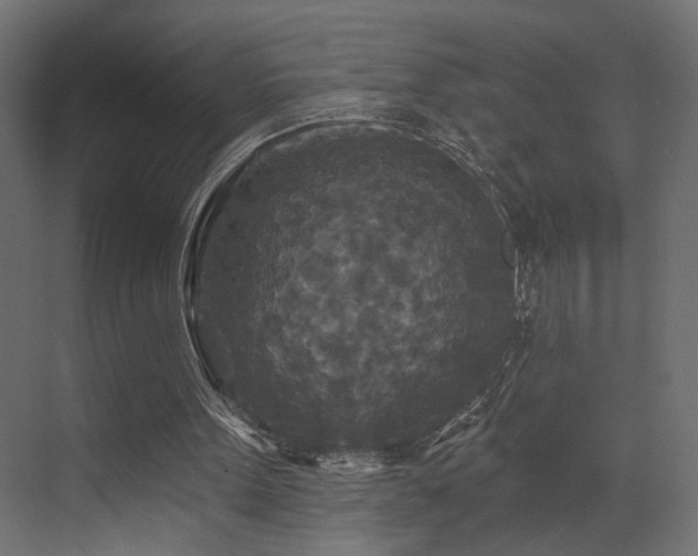 X0000073500099200607311303