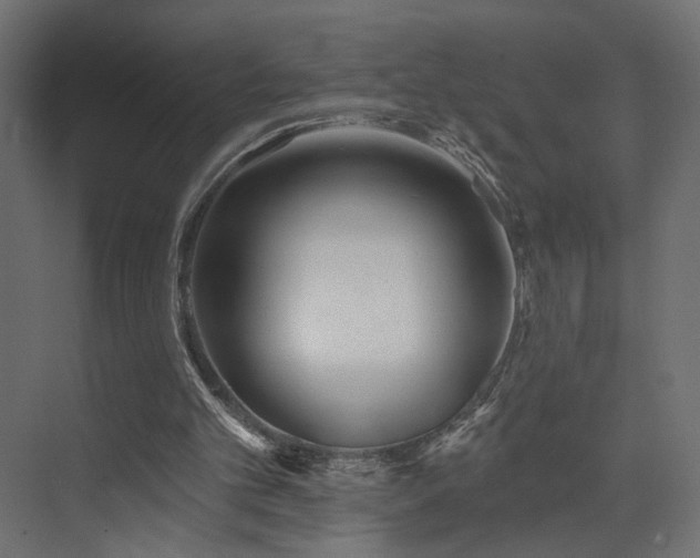 X0000073500101200607311303