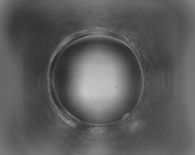 X0000073500102200607311303