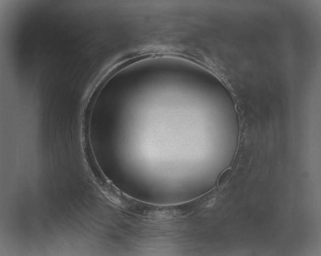 X0000073500103200607311303