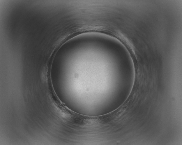 X0000073500107200607311303