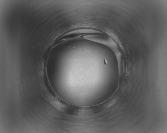 X0000073500109200607311303
