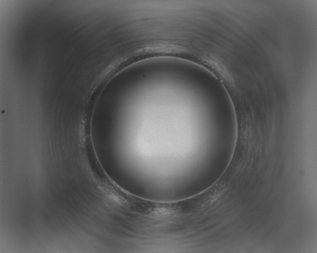 X0000073500111200607311303