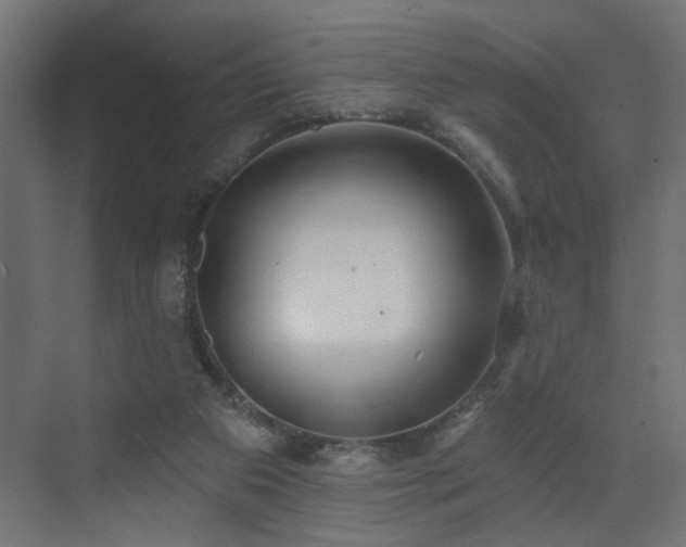 X0000073500113200607311303
