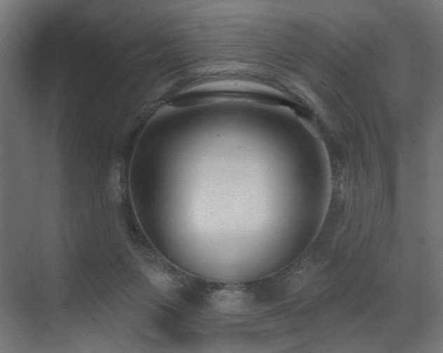 X0000073500119200607311303