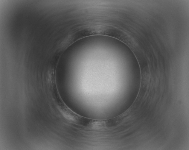 X0000073500126200607311302