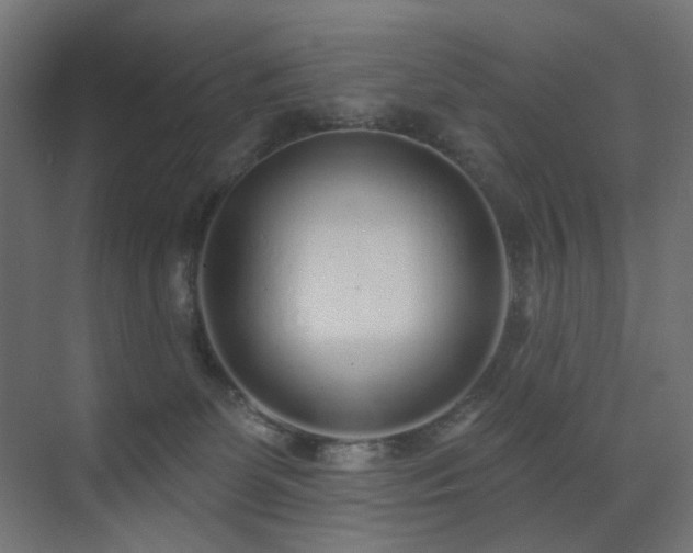 X0000073500131200607311302