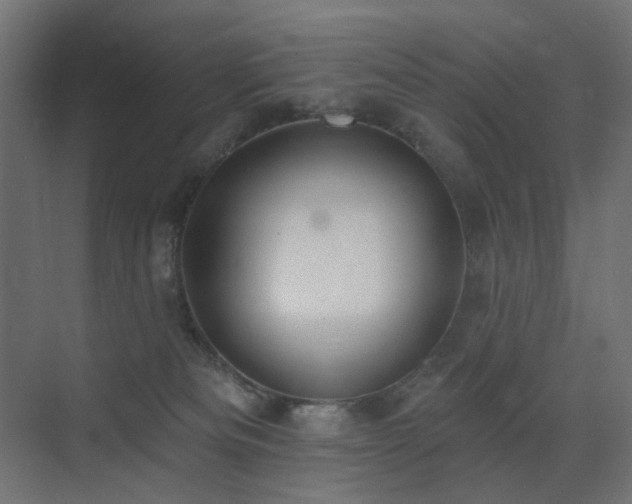 X0000073500133200607311302