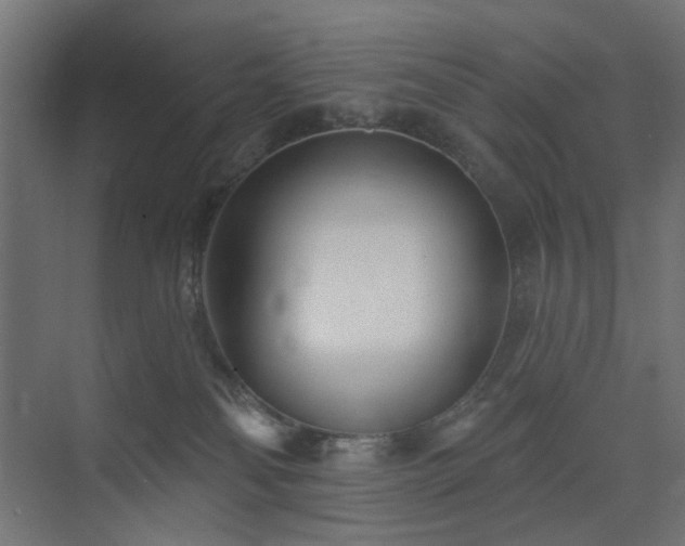 X0000073500134200607311302