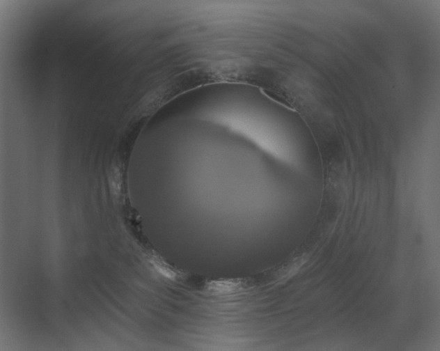 X0000073500139200607311302