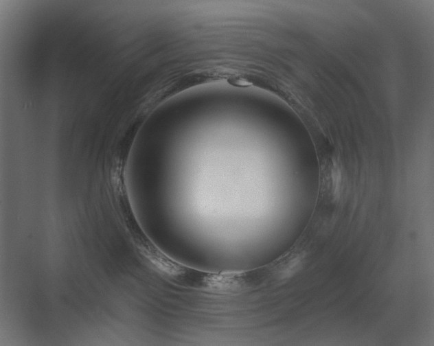X0000073500141200607311302