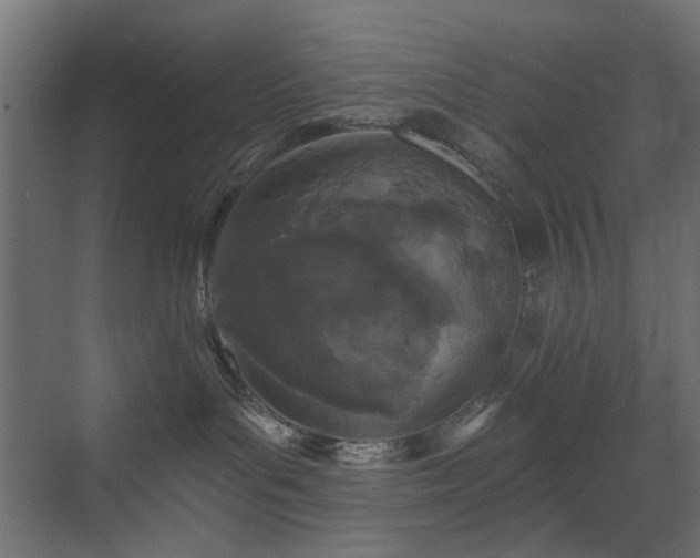 X0000073500143200607311302