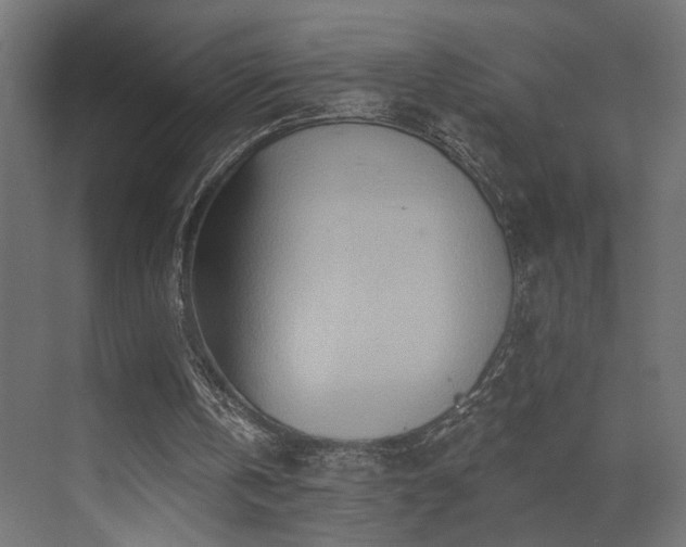 X0000073500146200607311301