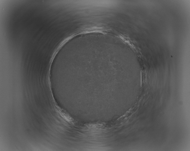 X0000073500147200607311301